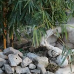giardino inglese