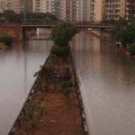Viale regione