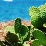 sicilia