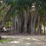 GIARDINO GARIBALDI