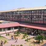 meli