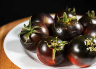 pomodoro nero