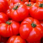 mercato ortofrutticolo pomodori PX