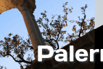 pw-banner_256