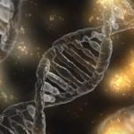 DNA radicali liberi