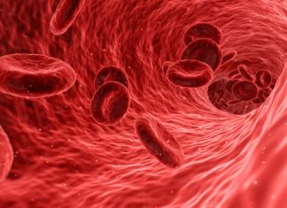 Anemia, globuli rossi