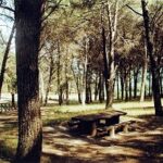 Valle Maria – Godrano