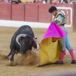 Torero Dph