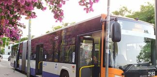 Trasporti Urbani Palermo - Autobus