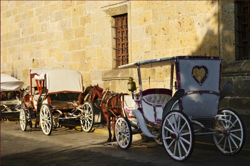 Carrozze a Palermo DPhotos