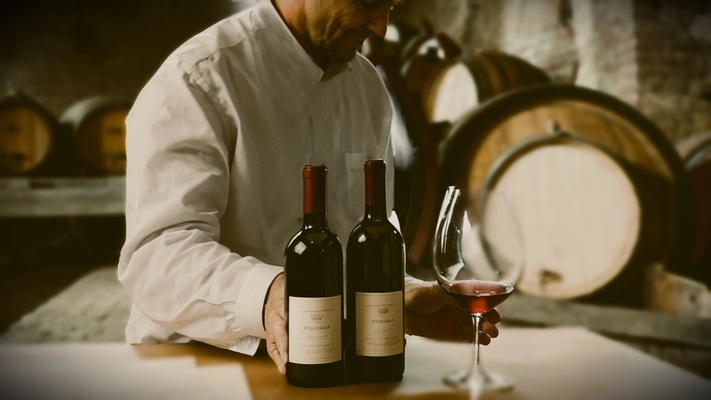 Vini di Sicilia - uomo gusta calice di vino