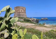 Torri Saracene Torre Pozzillo