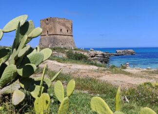 Torri Saracene Torre Pozzillo