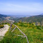 antonio-sessa-61DAY2TarQ4-unsplash