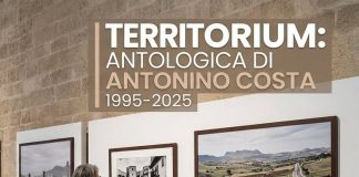 Territorium